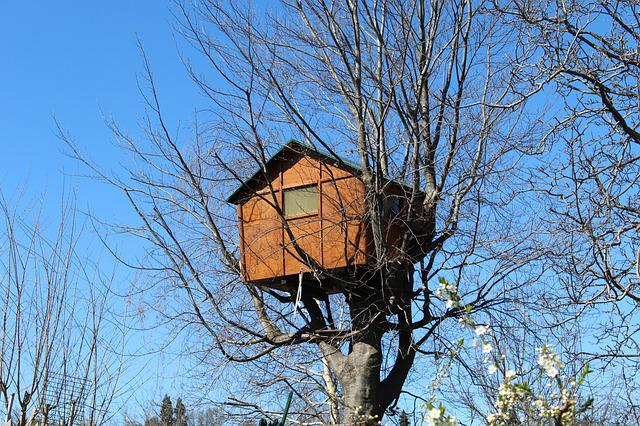 Jak zbudować domek z palet na drzewie?