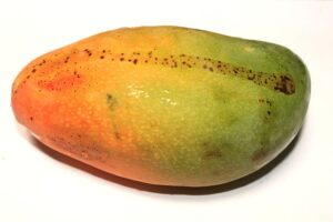 Czy mogę zasadzić mango z pestki w domu?