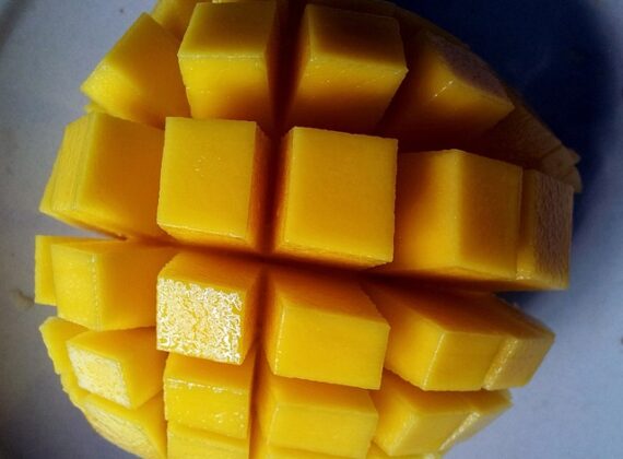 Czy wiesz, jak zasadzić mango?