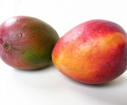 Jak zrobić pyszny mus z mango?